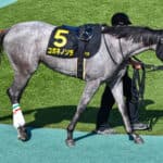 【クイーンS2026】コガネノソラが1週前追い切りで好気配！重賞3勝目へ万全の仕上がり