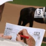 【アイビスSD2026】波乱の主役はカウンターセブン！激走を確信した「5つ」の条件とは？