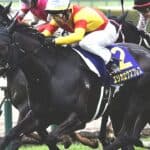 【クイーンステークス2026】展開のカギはエリカエクスプレス！武豊騎手のペース判断が勝敗を左右