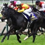 【クイーンS2026予想】楽逃げ濃厚か？逃げ馬不在でチャンス到来、エリカエクスプレスの勝機を独自考察