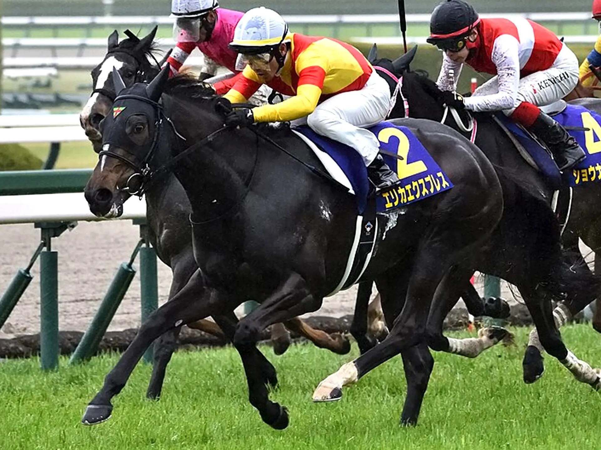 【クイーンS2026予想】楽逃げ濃厚か？逃げ馬不在でチャンス到来、エリカエクスプレスの勝機を独自考察