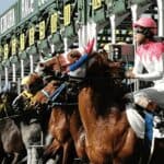 【名鉄杯2026展望】少頭数だからこそ問われる展開力！実績馬の取捨が勝敗を左右