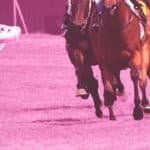 【アイビスサマーダッシュ2026】牝馬6連勝中の理由を分析！今年も女王の座は譲らないのか？