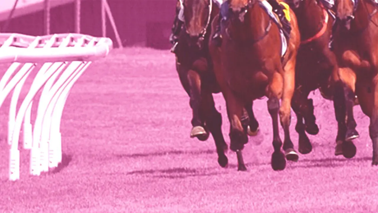 【アイビスサマーダッシュ2026】牝馬6連勝中の理由を分析！今年も女王の座は譲らないのか？