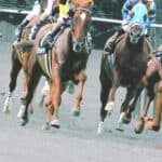 【CBC賞2026】インビンシブルパパら有力馬「3頭」を深掘り！昨年の再現か、新王者誕生か？