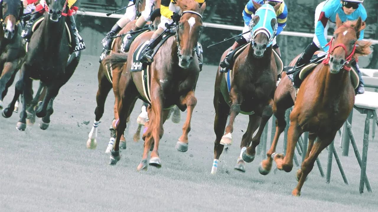 【CBC賞2026】インビンシブルパパら有力馬「3頭」を深掘り！昨年の再現か、新王者誕生か？