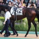 【七夕賞2026】カラマティアノスは舞台替わりが追い風も、58キロと夏競馬に不安材料