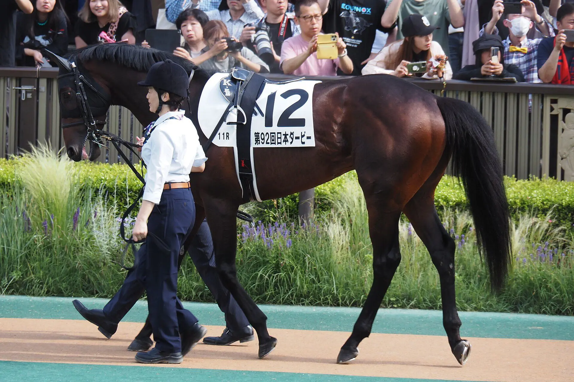 【七夕賞2026】カラマティアノスは舞台替わりが追い風も、58キロと夏競馬に不安材料
