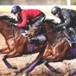 【クイーンS2026】最終追い切り診断！仕上がりが際立った注目馬3頭を独自評価