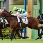 【関屋記念2026】サンダーストラックは1週前追い切りで自己ベスト更新！課題の"折り合い"克服へ前進したのか？