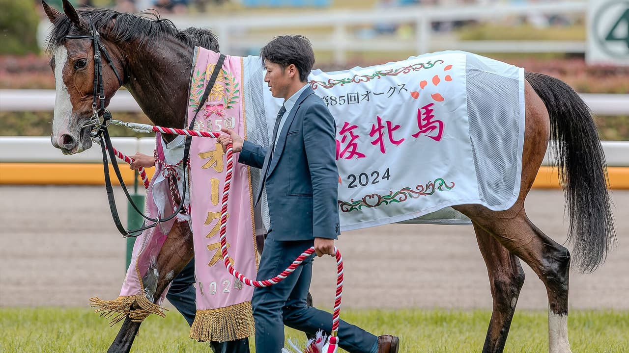 【新潟記念2026予想】人気落ちなら買いたい1頭！得意の2000mで反撃期待のチェルヴィニア