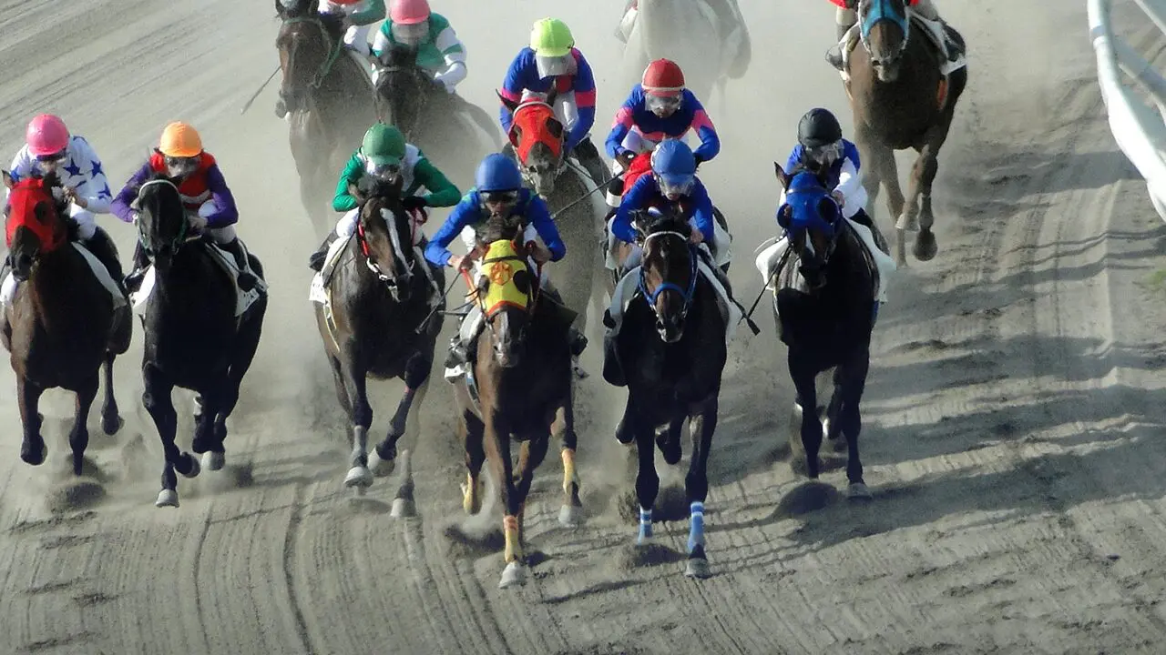 【レパードS2026】成長力で選ぶ注目馬3選！メルカントゥールら世代トップ候補を考察