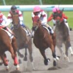 【三河ステークス2026展望】少頭数だからこそ展開が鍵！休み明け巧者ロードヴォイジャーと復活を狙うクァンタムウェーブに注目