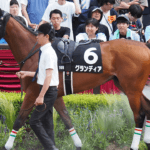 【札幌記念2026追い切り評価】グランディアの仕上がりは高水準！心身ともに態勢は万全