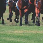 【中京2歳S2026展望】コース適性と馬場から注目馬を選ぶ！今年狙いたい3頭とは？