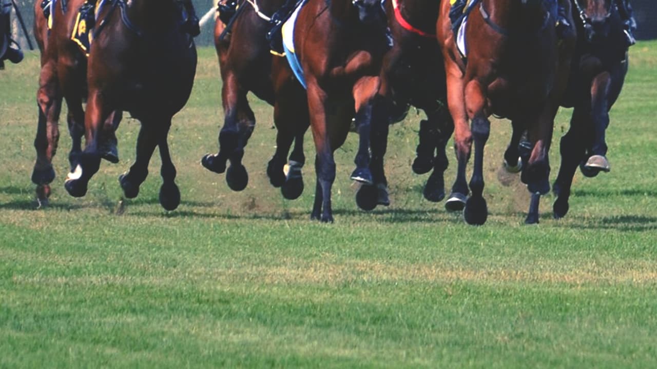 【中京2歳S2026展望】コース適性と馬場から注目馬を選ぶ！今年狙いたい3頭とは？