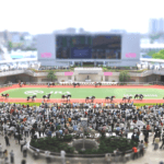 【セントウルS予想2026】芝替わりのママコチャや快速ピューロマジックに香港馬！実績馬の強みと課題を分析