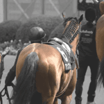 【CBC賞2026】ディアナザールは危険な人気馬か？人気の理由と不安材料を分析
