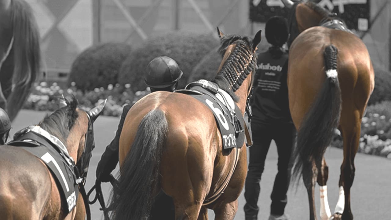 【CBC賞2026】ディアナザールは危険な人気馬か？人気の理由と不安材料を分析