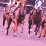 【新潟記念2026予想】GⅠ馬5頭が集結！注目はロデオドライブVS古馬勢の世代対決