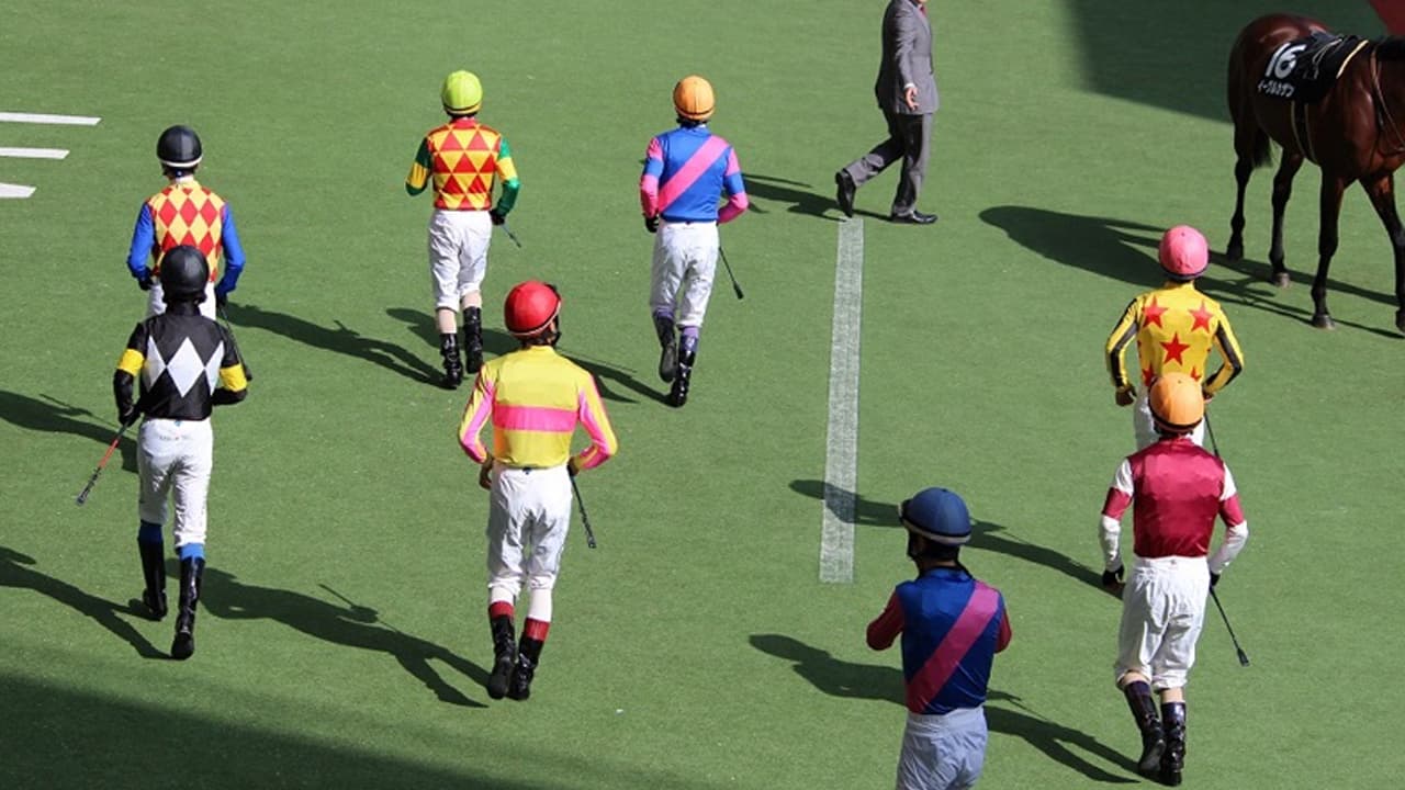【WASJ第4戦2026】外国人騎手4連勝のデータは今年も続くか？有力馬を徹底分析