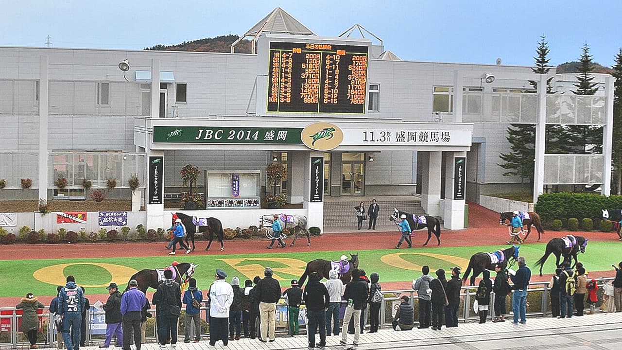 【クラスターカップ2026展望】秋のJBCスプリントへつながる重要な一戦！距離短縮で変わり身期待のボナンザに注目