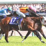 【新潟記念2026予想】ロデオドライブにとって未知の条件がズラリ、2000mと古馬戦が最大の焦点
