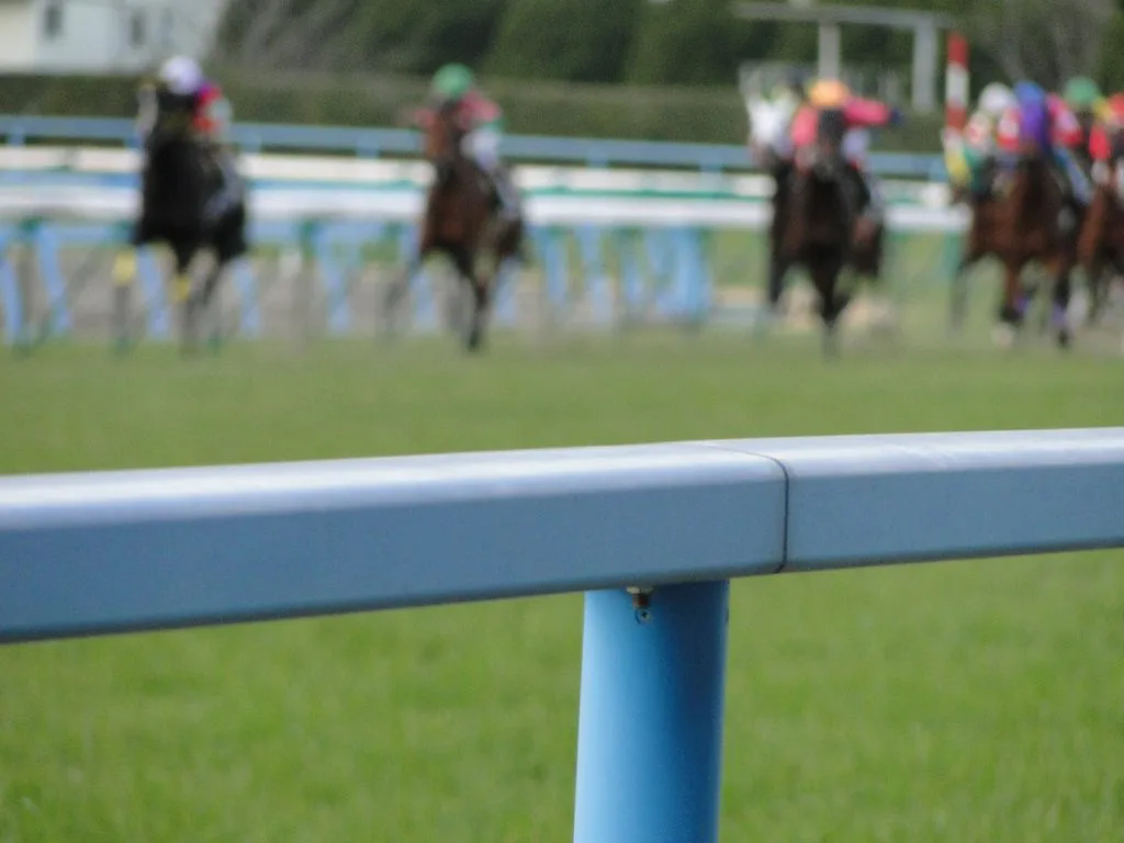 【アイビスサマーダッシュ】悲運のサフィロス優勝なるか