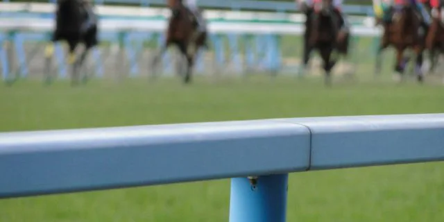 【アイビスサマーダッシュ】悲運のサフィロス優勝なるか