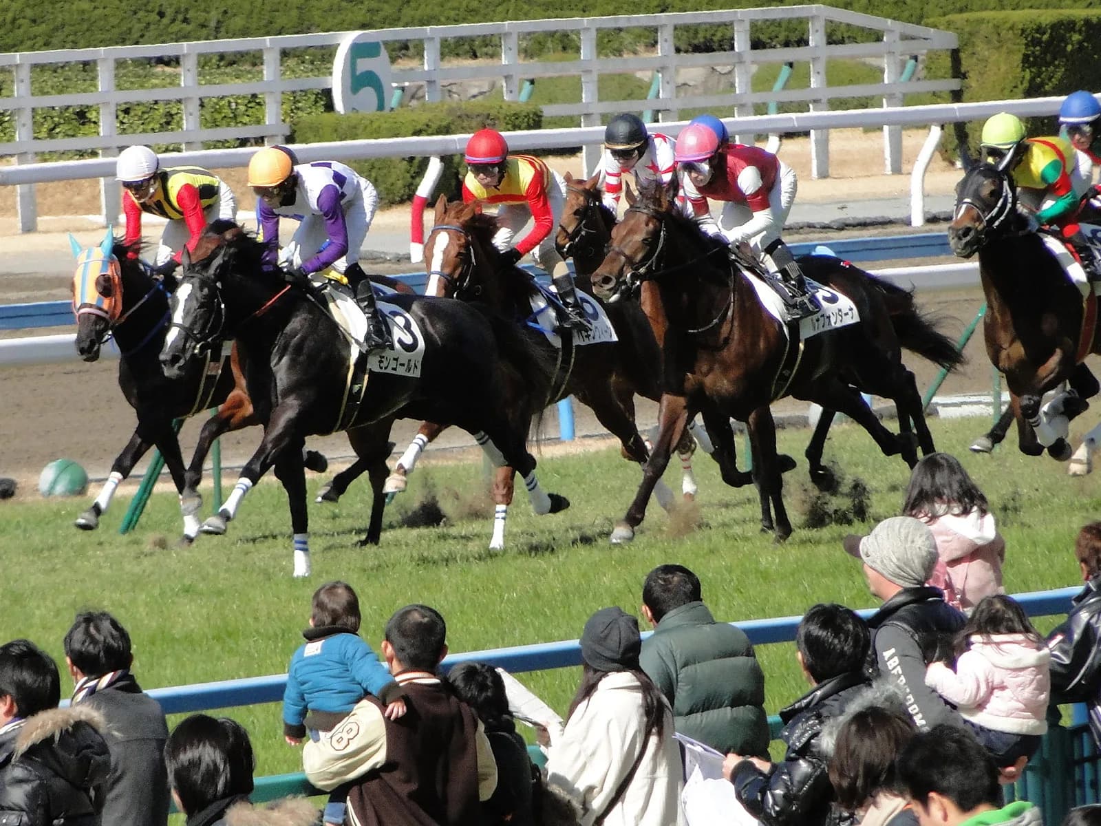 完勝ポルトフォイユに高まる期待