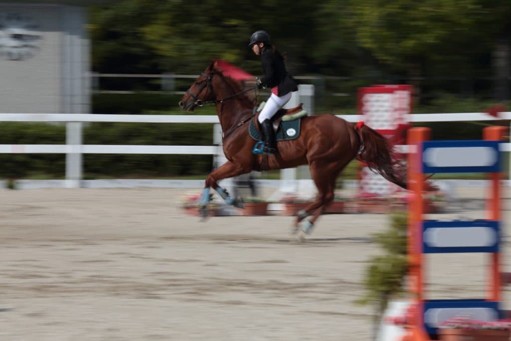 【7月第3週】サマーシリーズ結果速報