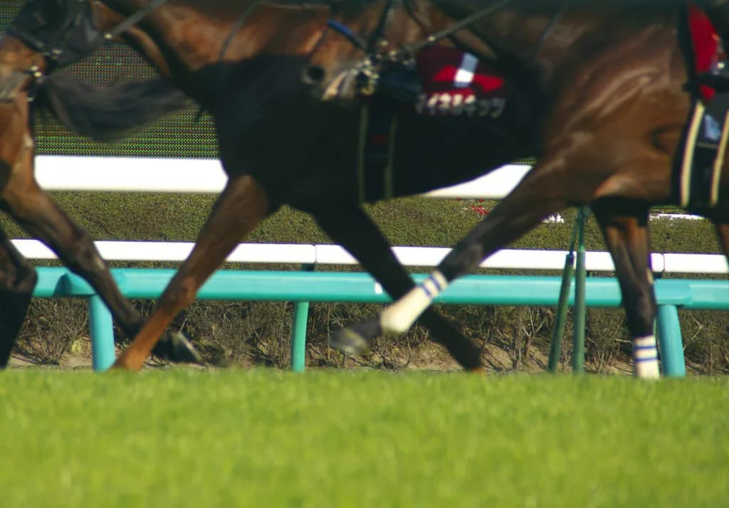 【皐月賞2016予想】ペースは?馬場は?レース展開を徹底予想!