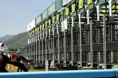 清々しいくらいの逃げ馬マルターズアポジーと共に現実逃避しよう!