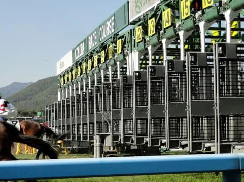 清々しいくらいの逃げ馬マルターズアポジーと共に現実逃避しよう!