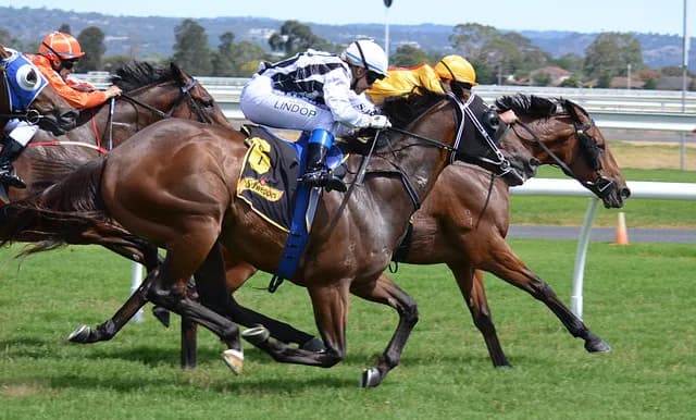 "直千"を制すのは俺だ!アースソニックが直線番長に名乗りを上げる。