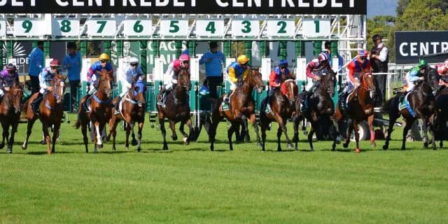 【函館2歳S】出走馬決定・非当選馬は?