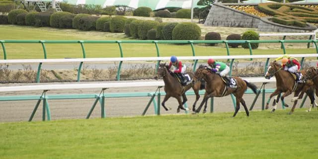 【函館記念】ダービーフィズ悲願の重賞初V。シリーズ制覇に王手がかかる。