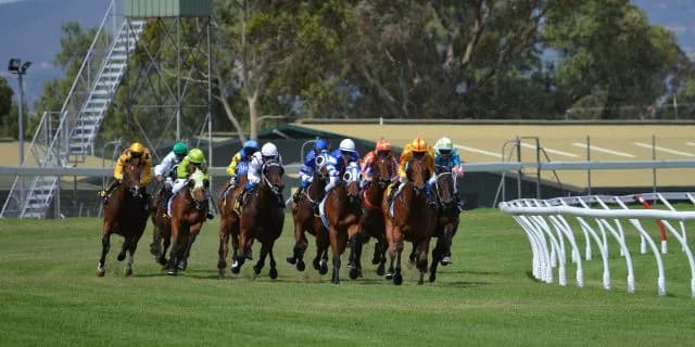 【関屋記念】レッドアリオン直線で"再加速"!脅威の逃げ切りV!