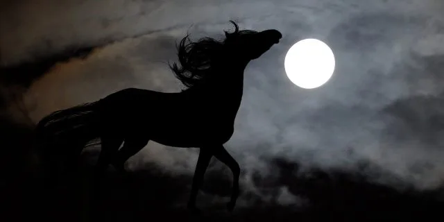 【京都牝馬S予想2018】ワンスインナムーン香港の疲れなし!