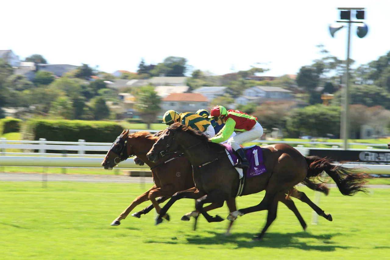 競馬のトップ100・G1レース発表。日本はジャパンカップの7位が最高