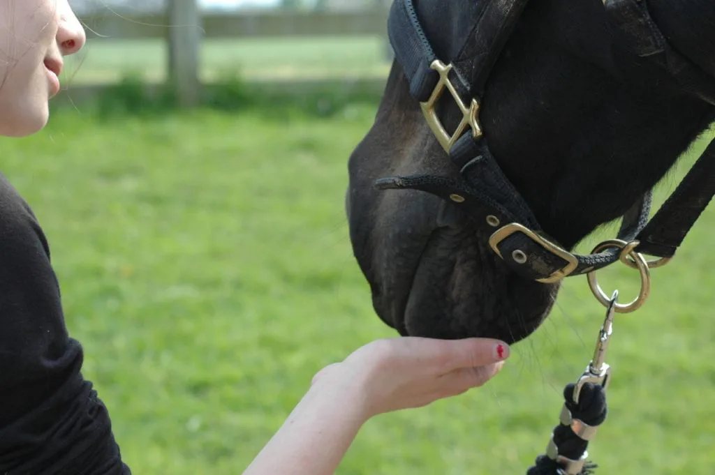 【競馬】藤田菜七子(18)、競馬界における女性の社会進出の道を切り開けるか?