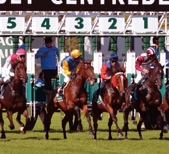 【海外競馬】オーストラリアのG1にフェイムゲームとホッコーブレーヴが挑戦!