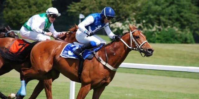 【府中牝馬S2015結果】11番人気のノボリディアーナが女王杯への切符を獲得