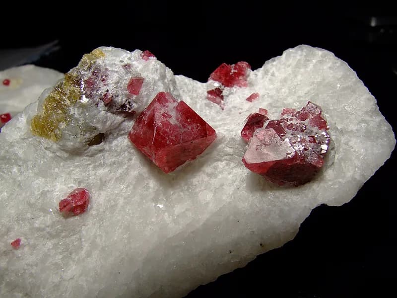 【デイリー杯2歳S】武豊と好相性の血統馬エアスピネル