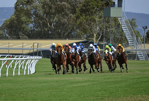 【エリザベス女王杯2015】マリアライト、新女王に輝く