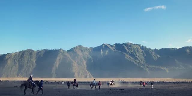 【チャンピオンズC2015】ノンコノユメ世代交代を告げられるか!?