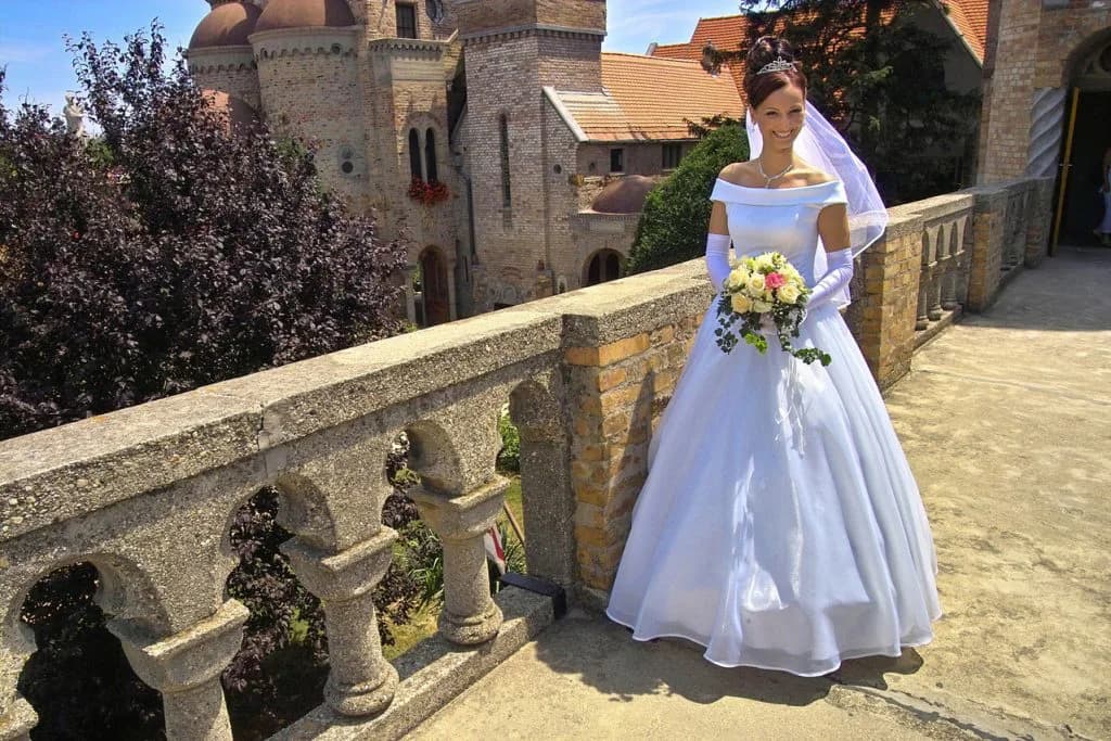 キズナの花嫁候補?ノースヒルズがキトゥンズクイーンを購入