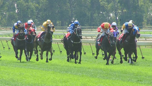 【マイルCS2015】モーリス5連勝!今後は香港国際レースへ?