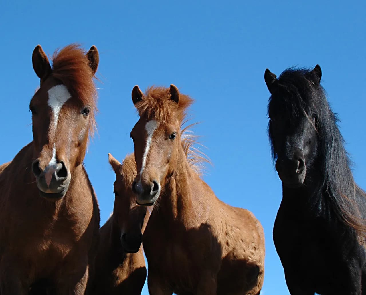 よりどりみどり?今年の武豊の2歳馬がすごい!