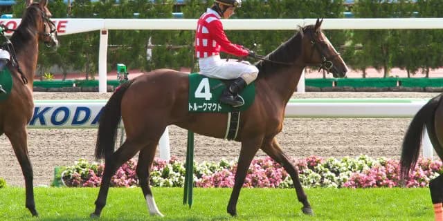 【ステイヤーズS予想2015】格上挑戦のトルークマクトが素質開花か!?